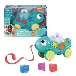 4-in-1 Colour & Shape Sorter: Chameleon