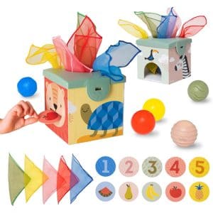 Kimmy Koala Magic Box Activity Toy