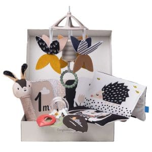 Newborn Black & White Kit - NEW