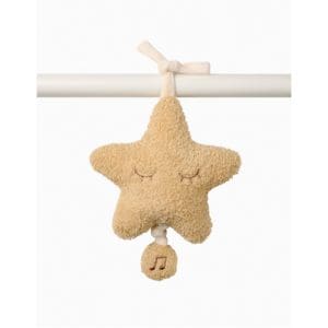 Nattou Teddy - Musical Star