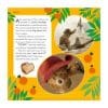 Paddington-in-Peru-The-movie-Storybook-1