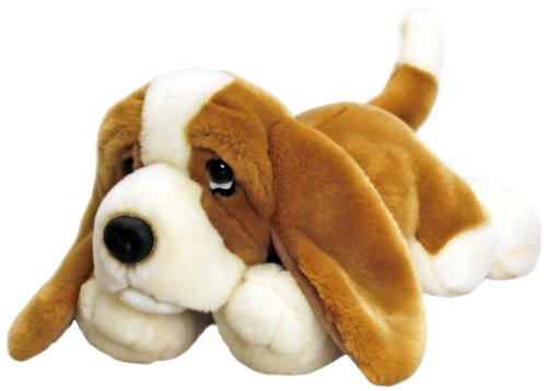 Basset 30Cm