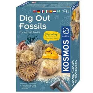 Dig Out Fossils