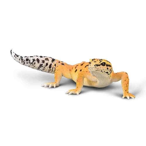 Leopard Gecko Leopard Gecko