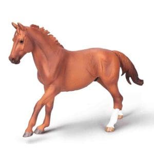 Phar Lap, Thoroughbred Stallion Chestnut