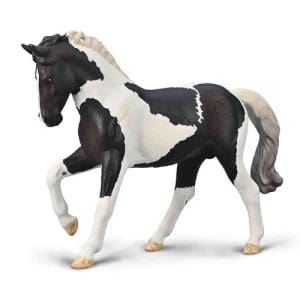 Warmblood Stallion - Black Tobiano