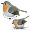 Eugy-Robin-Wobbly-1