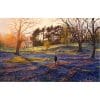 Sunlight-Glow-Puzzle-1000-Pieces-1 Sunlight-Glow-Puzzle-1000-Pieces-1