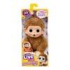 Little-Live-Pets-My-Baby-Mini-Monkey-Assorted-One-Supplied-4 Little-Live-Pets-My-Baby-Mini-Monkey-Assorted-One-Supplied-4