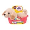 Little-Live-Pets-My-Really-Real-Mini-Puppy-Patches-Assorted-One-Supplied-1