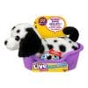 Little-Live-Pets-My-Really-Real-Mini-Puppy-Patches-Assorted-One-Supplied-2