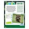 Professor-Noggin-Wildlife-of-North-America-1