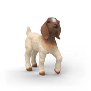 Schleich: Boer Goat Kid
