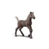 Schleich-Collectible-Foal-Darcy-1 Schleich-Collectible-Foal-Darcy-1