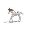 Schleich-Collectible-Foal-Dipper-1 Schleich-Collectible-Foal-Dipper-1