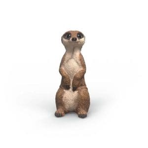 Schleich: Meerkat
