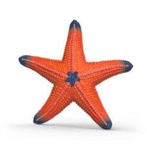 Schleich: Starfish color change