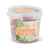 Capybara Mochi Tub 12 Pieces