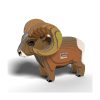 EUGY-Big-Horn-1 EUGY-Big-Horn-1