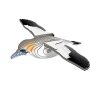 EUGY-Gannet-1 EUGY-Gannet-1