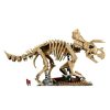 Lego-Jurassic-World-77985-Dinosaur-Fossils-Triceratops-1