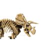 Lego-Jurassic-World-77985-Dinosaur-Fossils-Triceratops-3