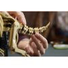 Lego-Jurassic-World-77985-Dinosaur-Fossils-Triceratops-8