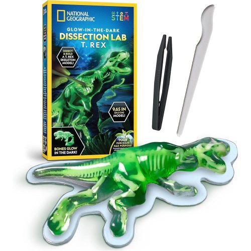 Glow-in-The-Dark T. rex Dissection Kit Glow-in-The-Dark T. rex Dissection Kit